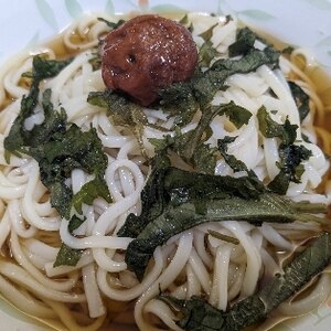 梅しそ冷やしぶっかけうどん